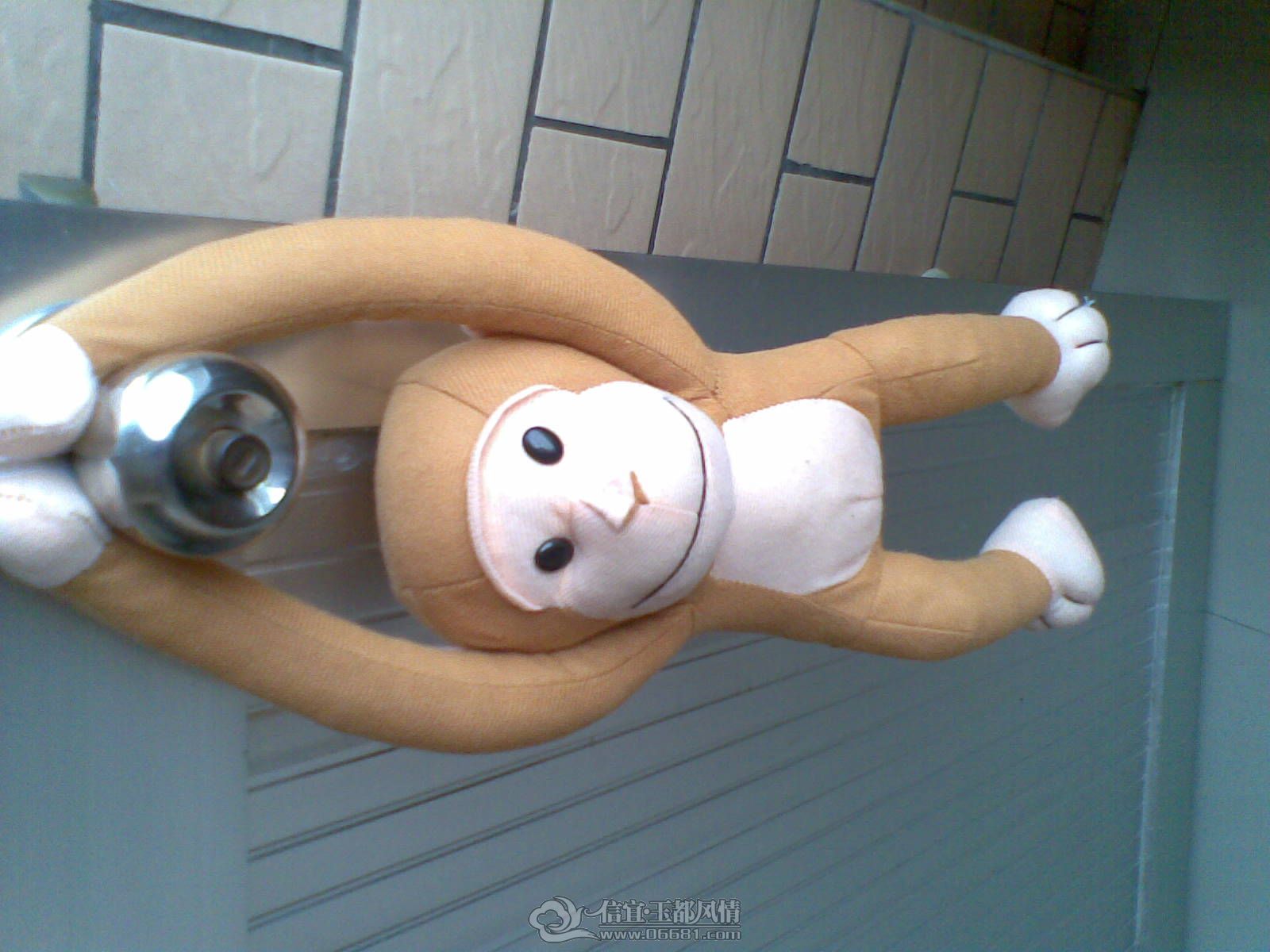 20120706(007).jpg