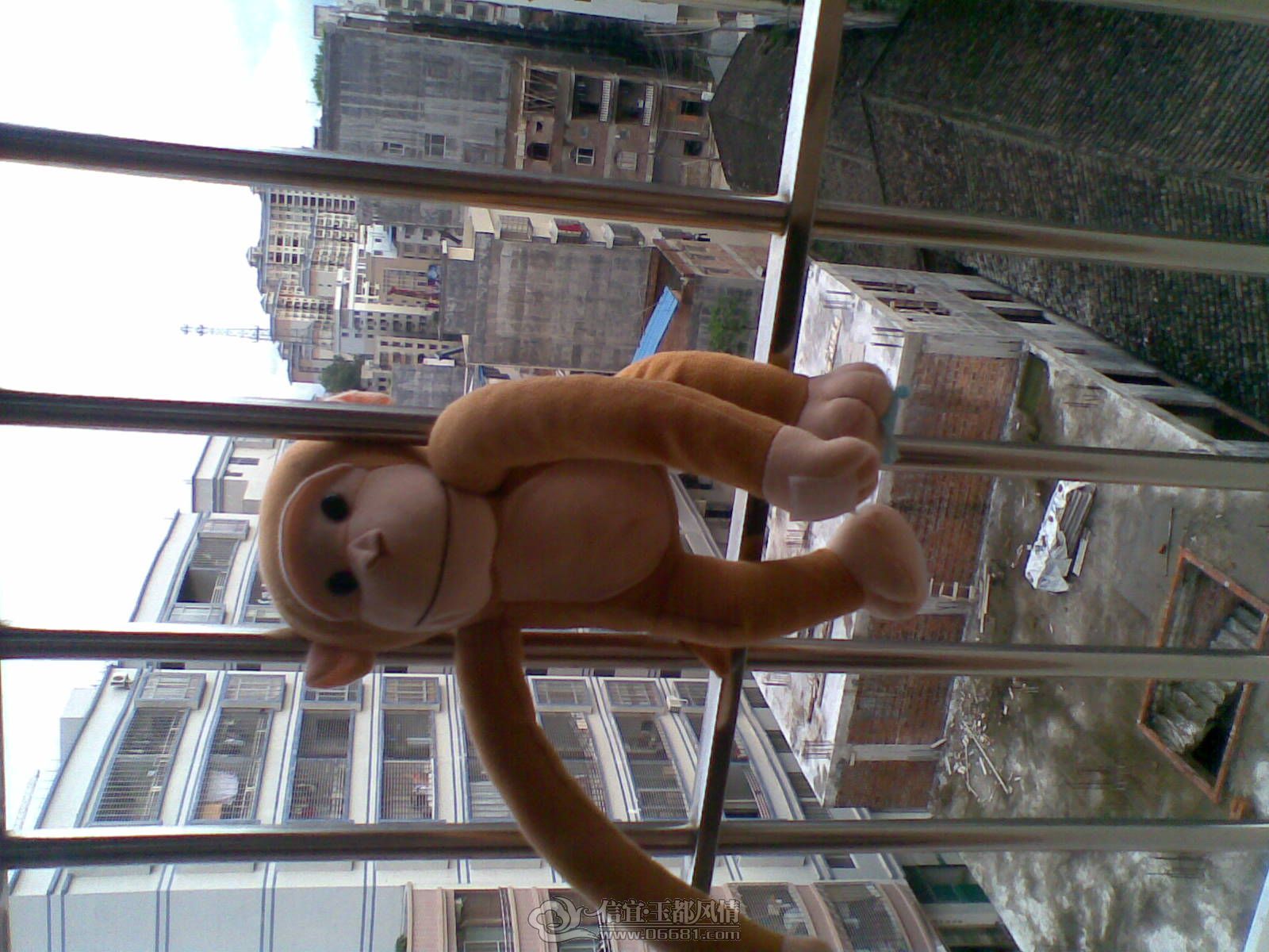 20120706(008).jpg