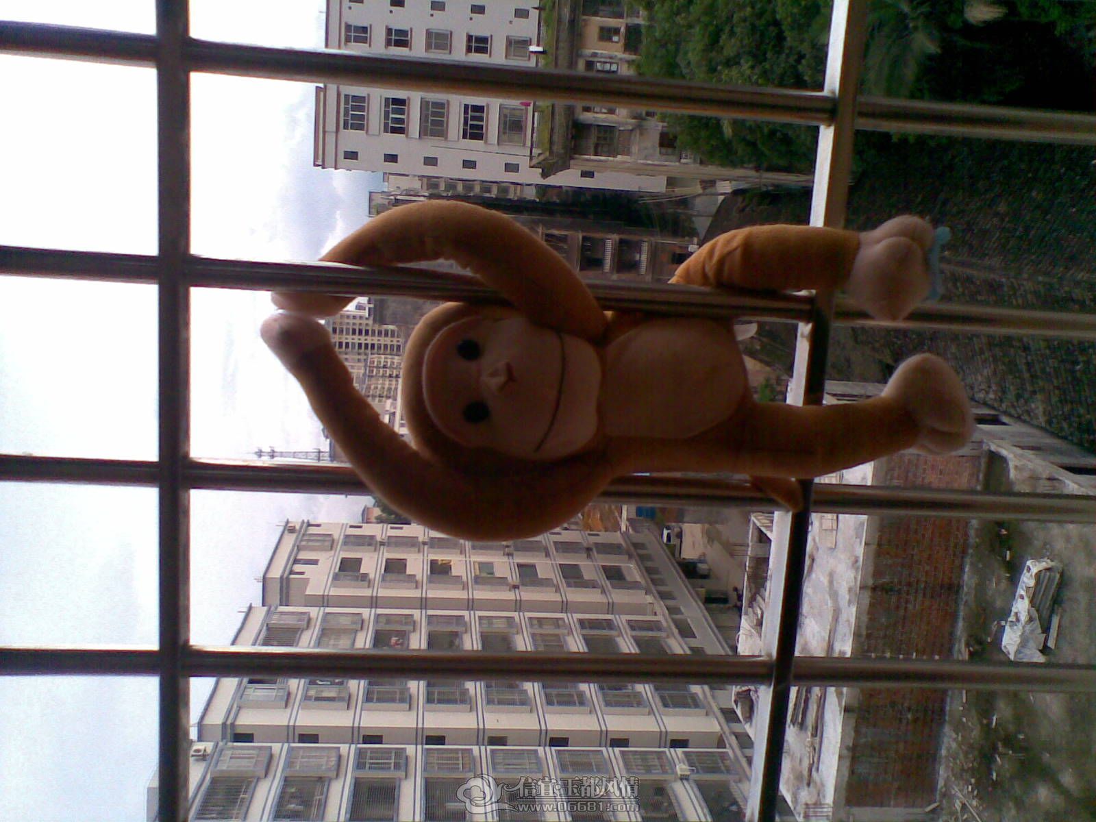 20120706(009).jpg