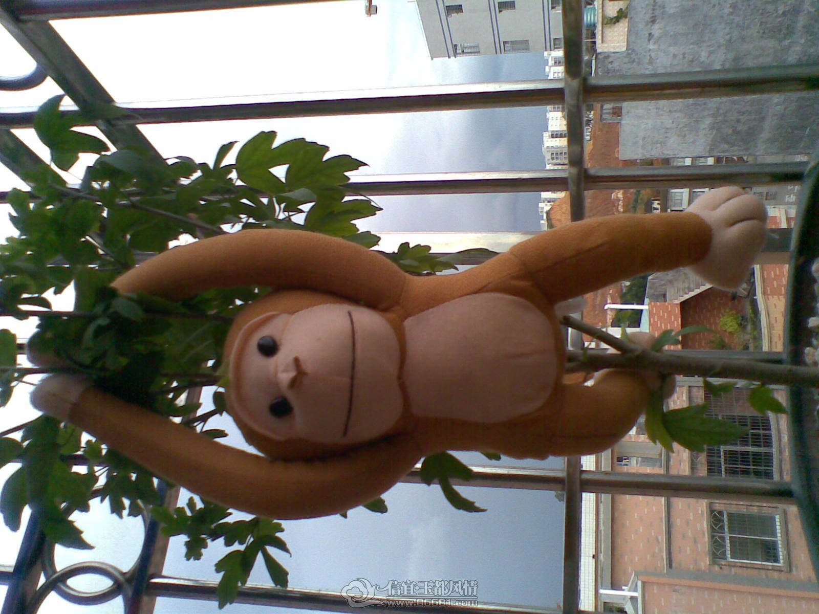 20120706(010).jpg