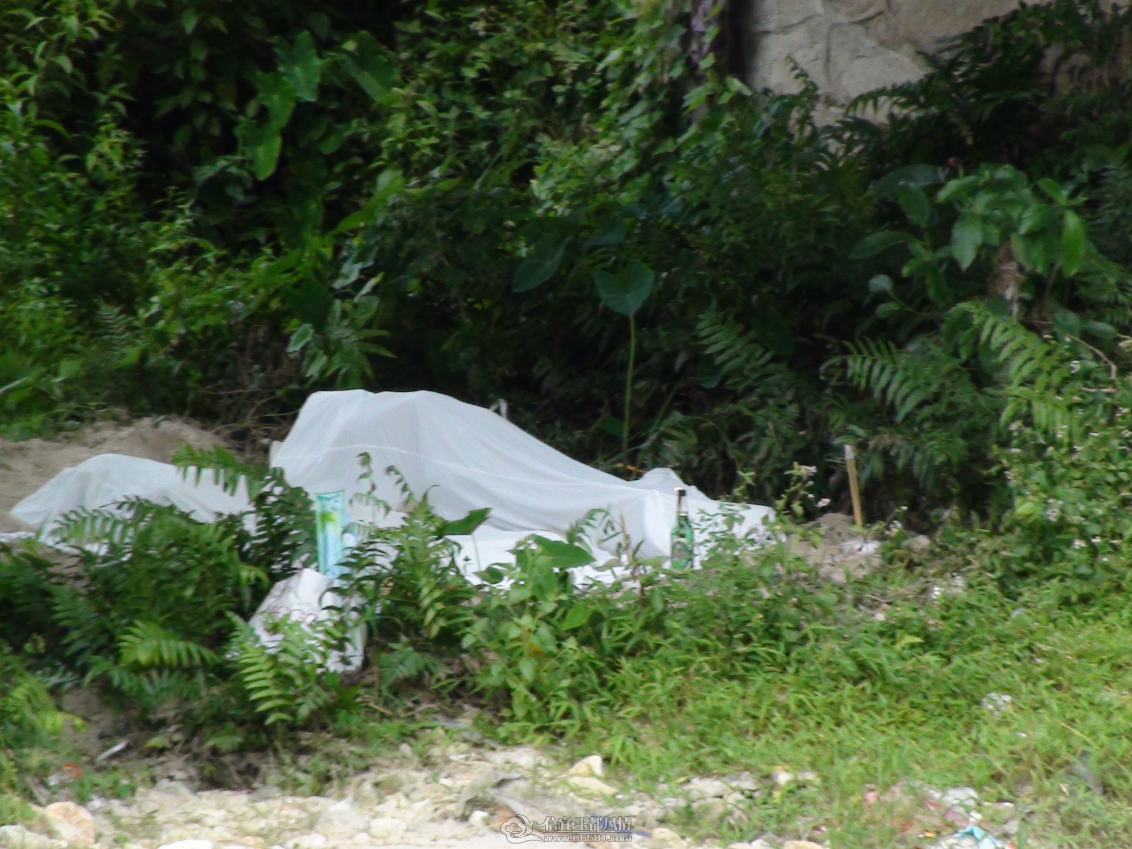 DSC00438.JPG