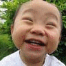 09897.gif