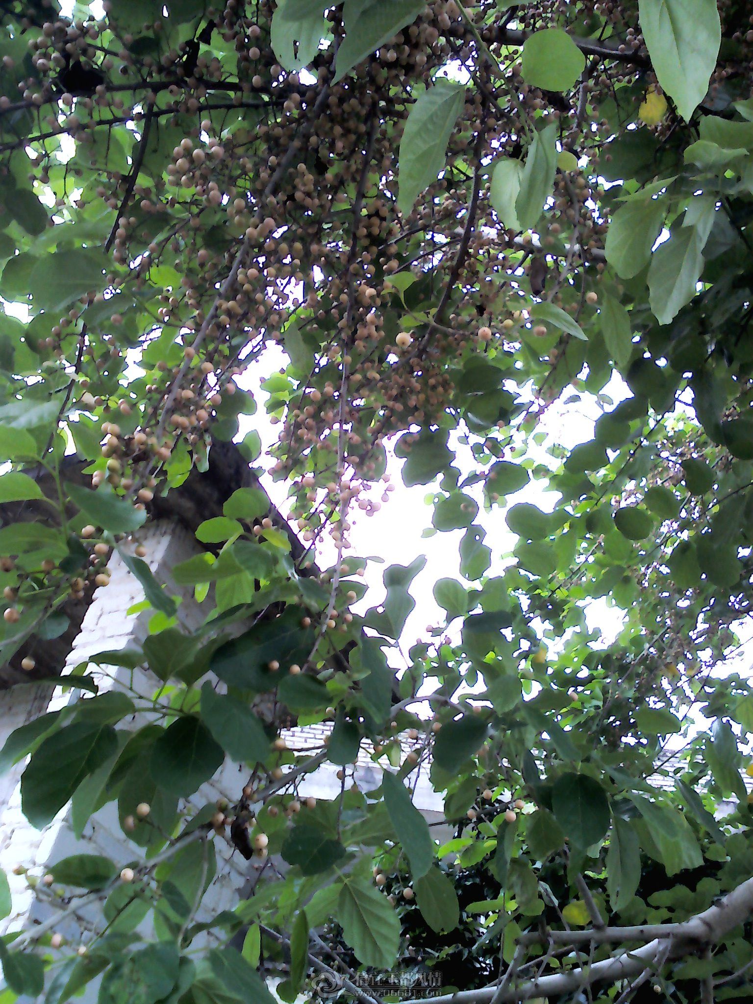 YP20120718145804.jpeg
