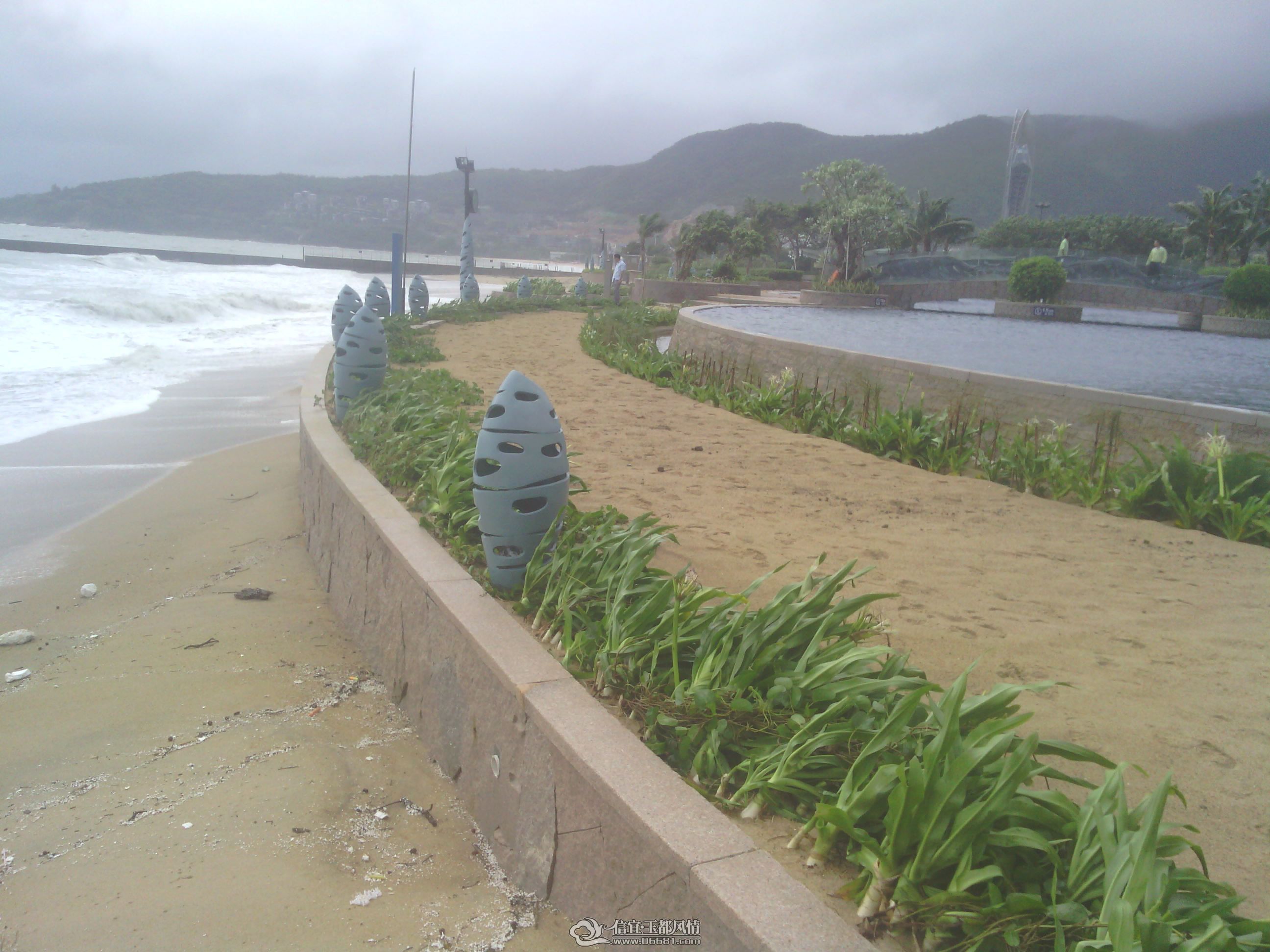 IMG_20120724_100213.jpg