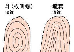 1.gif