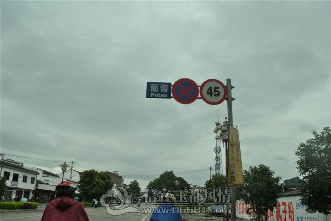 79.jpg