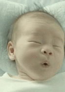 4.gif
