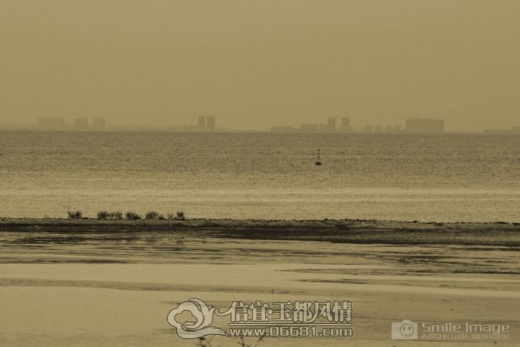 DSC_8735.jpg