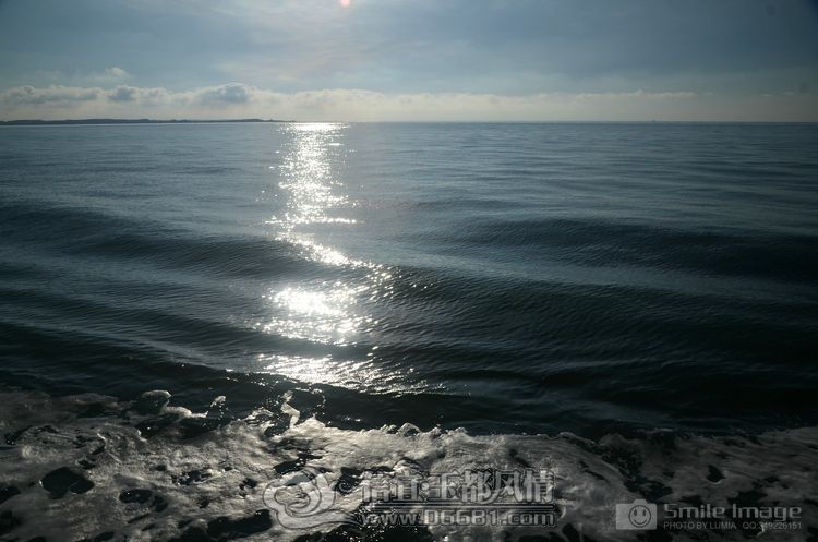 DSC_8774.jpg