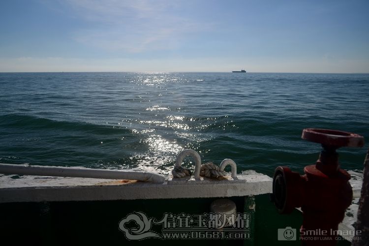 DSC_8794.jpg