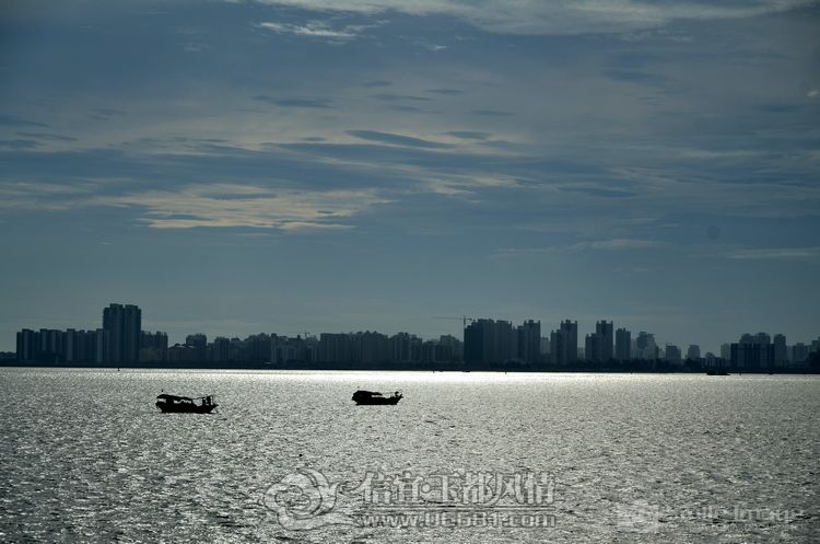DSC_8833.jpg
