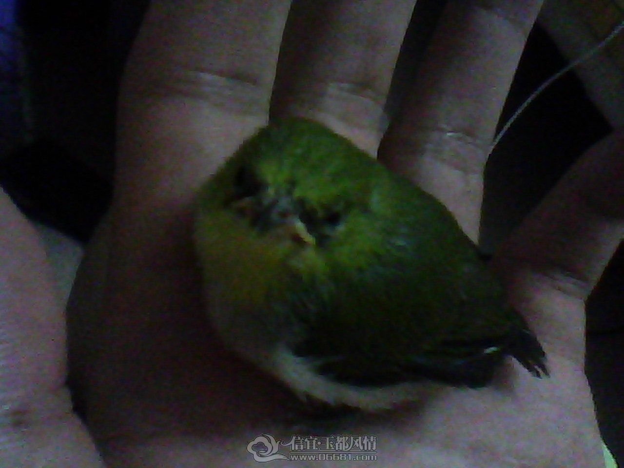 DSC_0000200.jpg