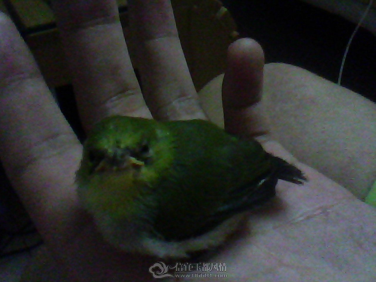 DSC_0000206.jpg