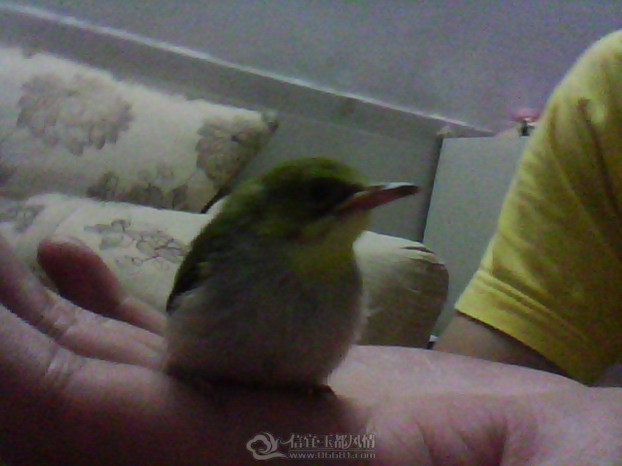 DSC_0000211.jpg