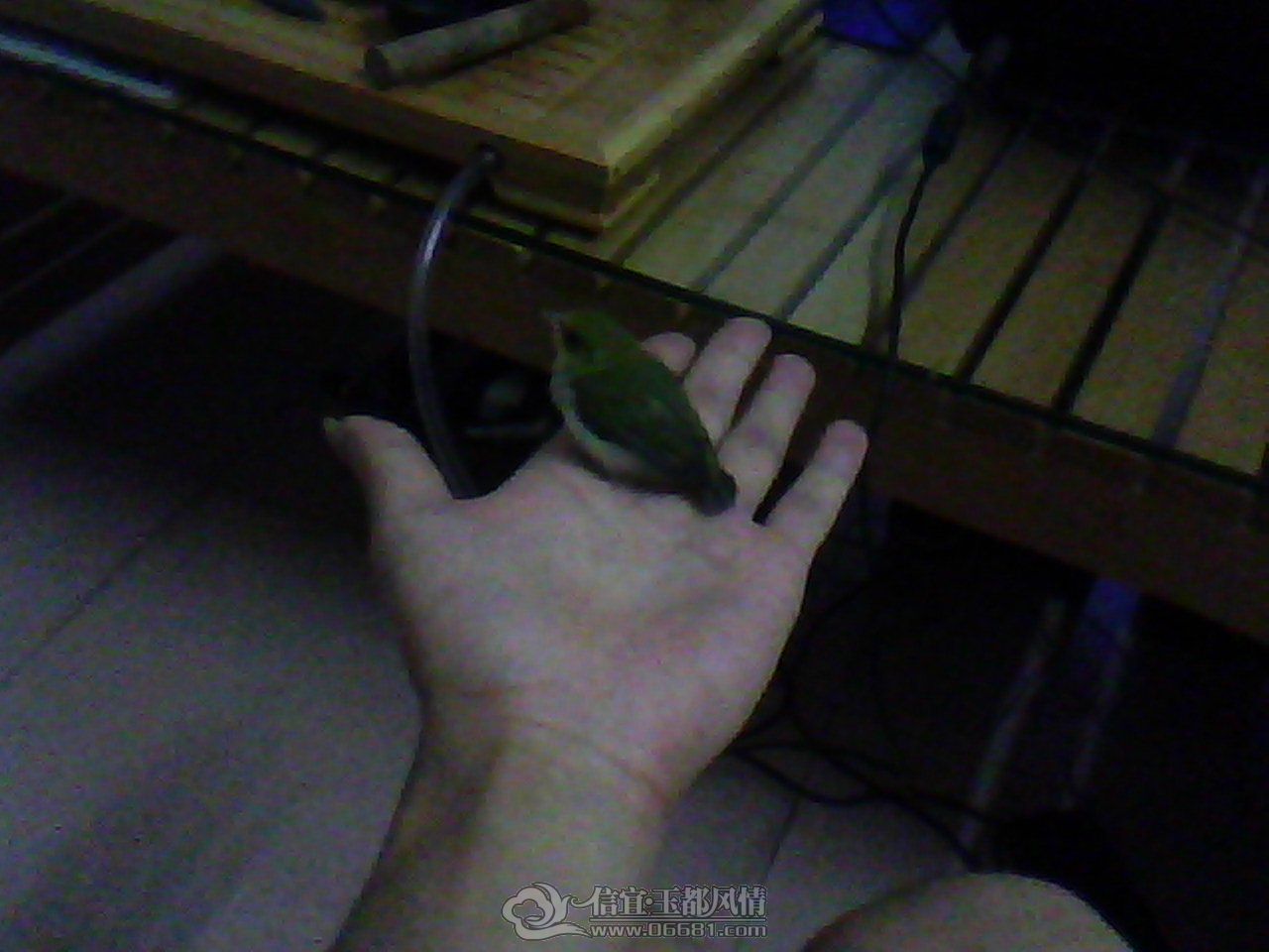 DSC_0000212.jpg