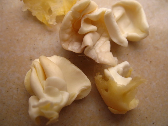 2009-4-18 111.jpg