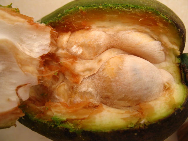 2009-4-18 105.jpg