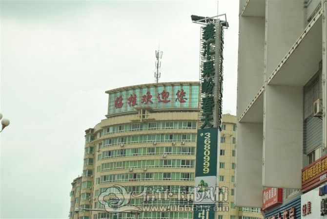 91.jpg