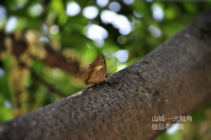 _D3S9127_HZP_����.jpg