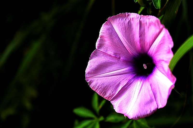 DPP_0039.JPG
