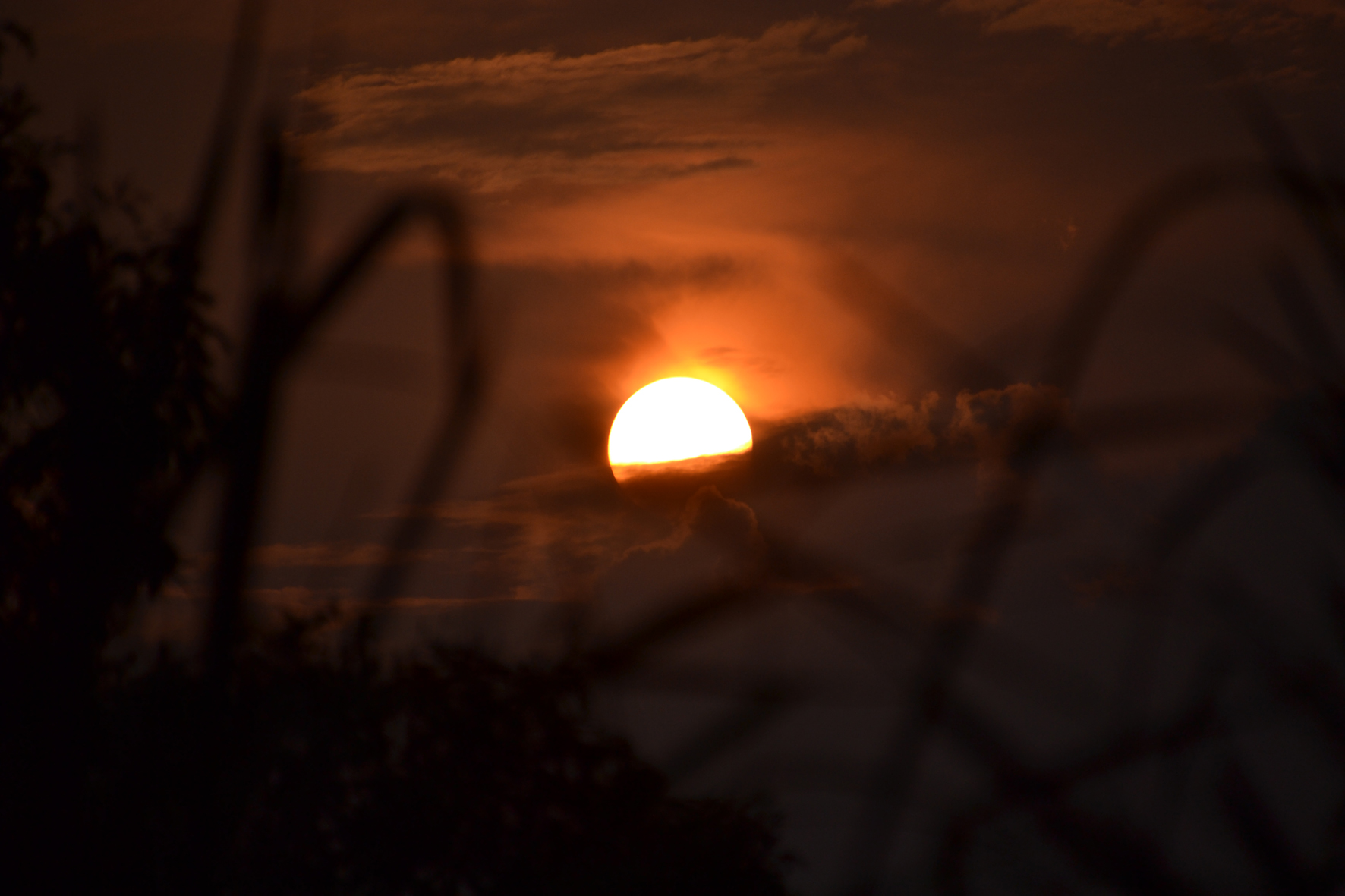 DSC_0890A.jpg