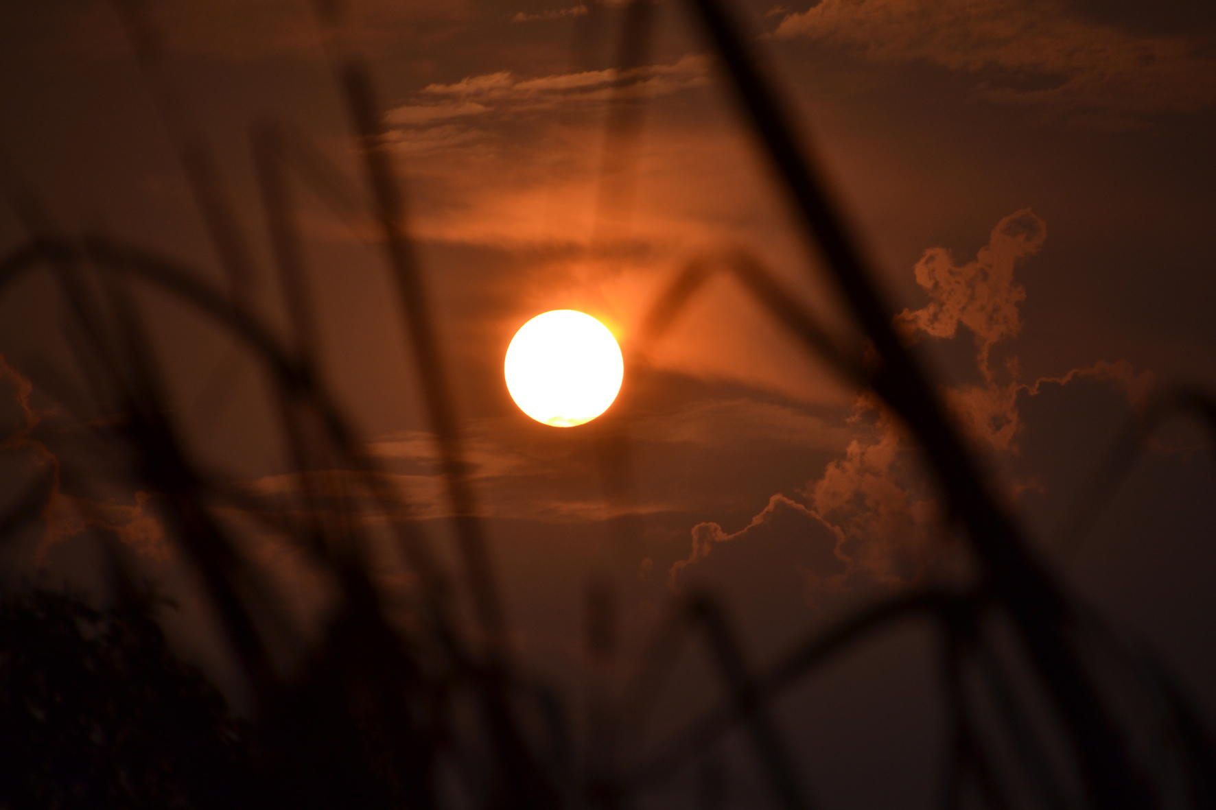 DSC_0889A.jpg