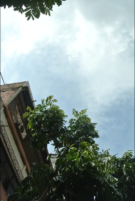 04.jpg