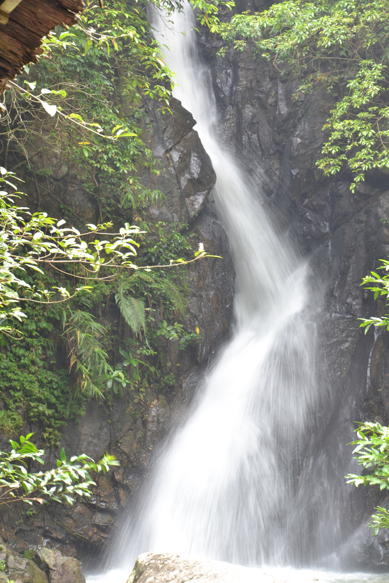 DSC_0936.JPG