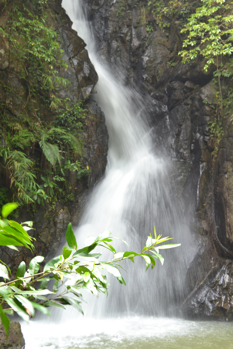 DSC_0953.JPG