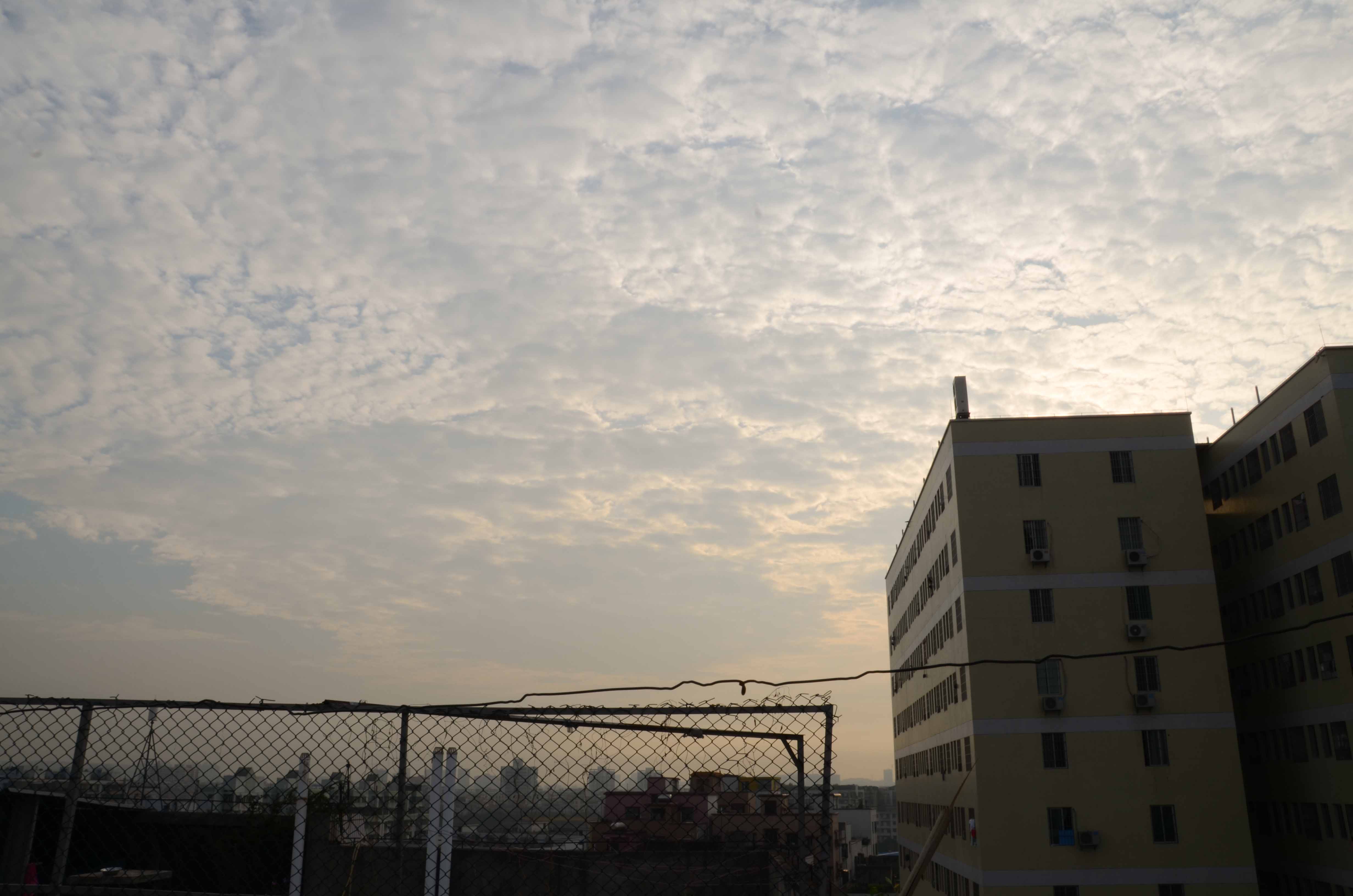 DSC_2572.jpg