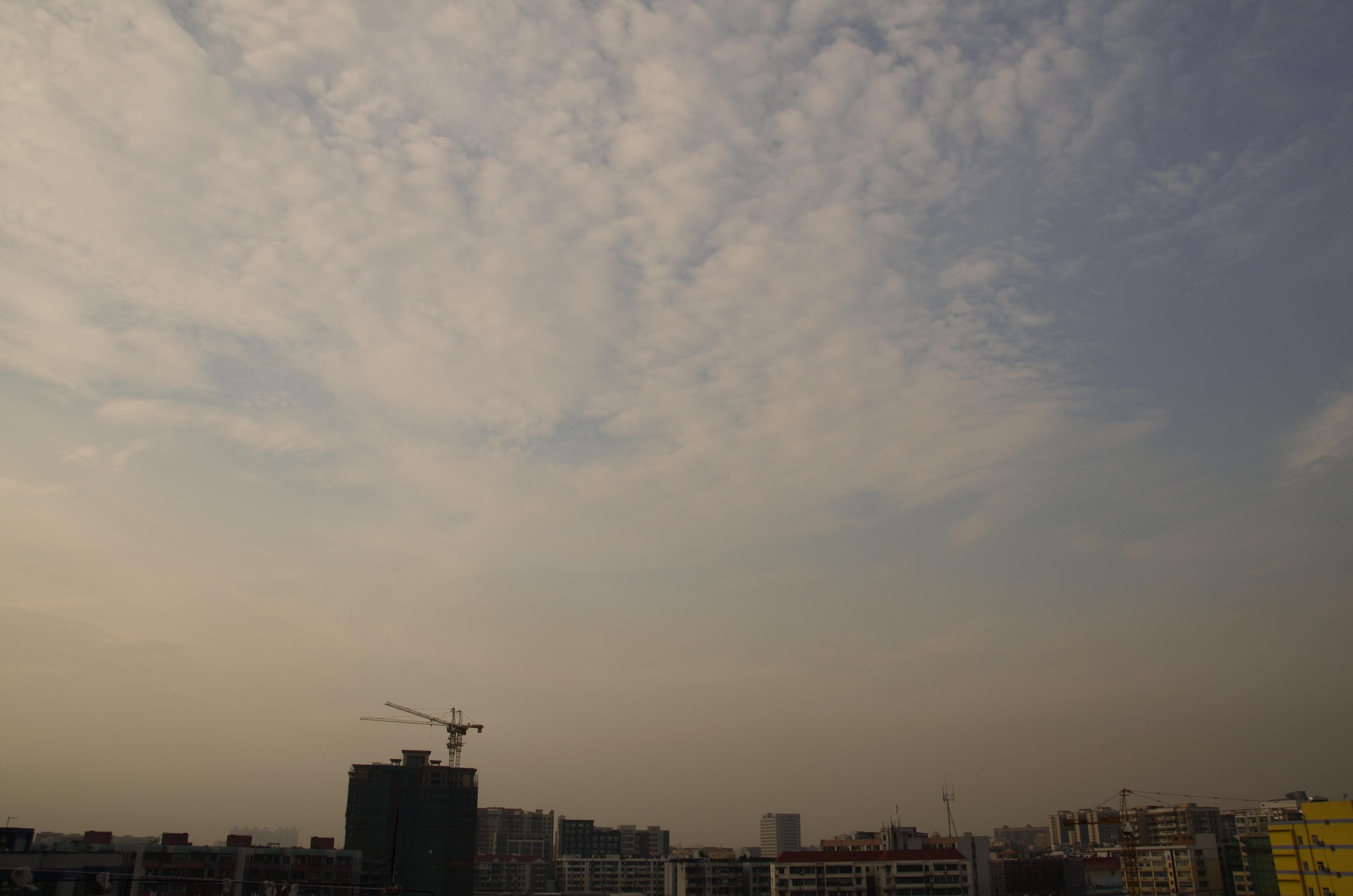 DSC_2579.jpg