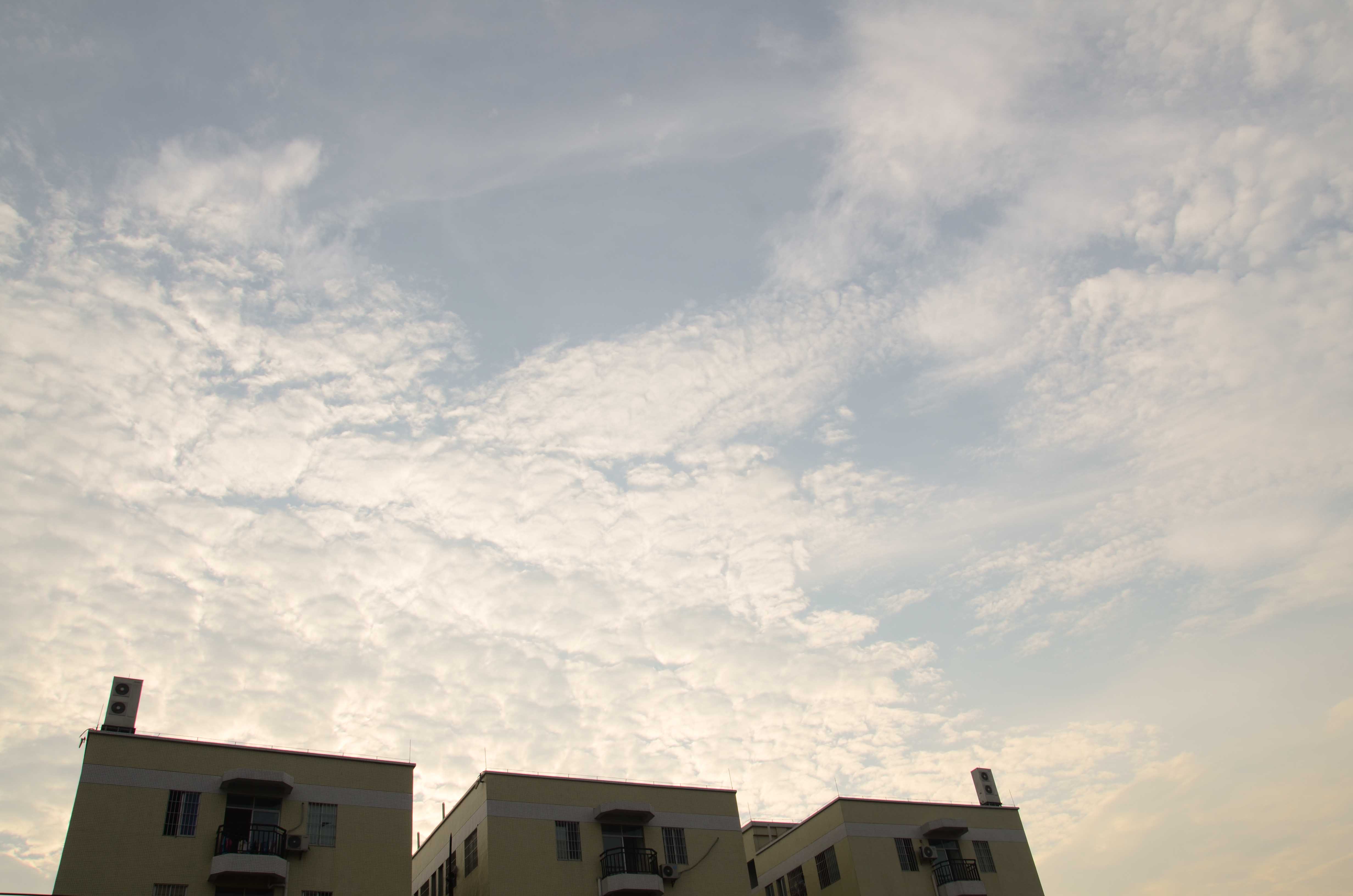 DSC_2584.jpg
