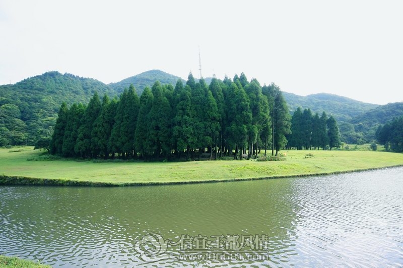 IMG0002.jpg