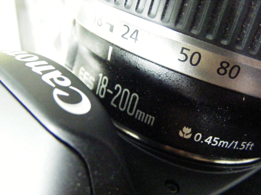 DSCF6082.JPG
