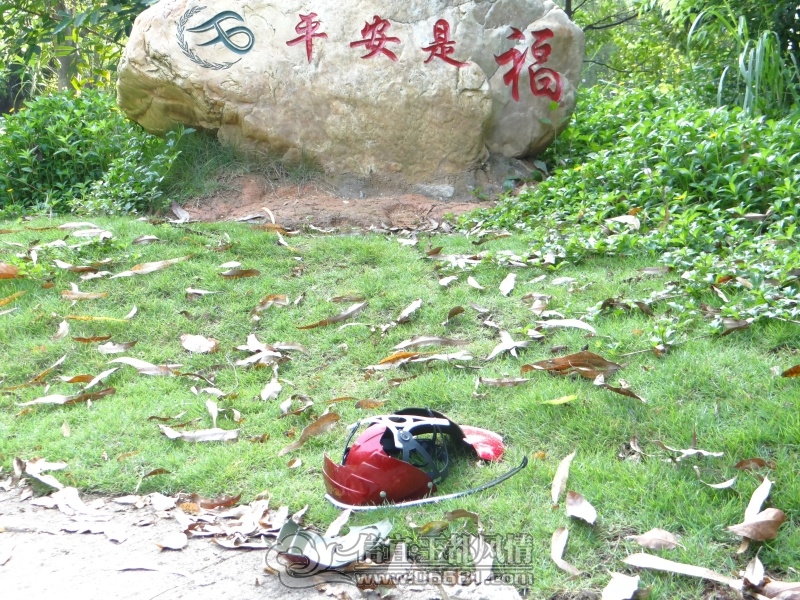 DSC00790.JPG