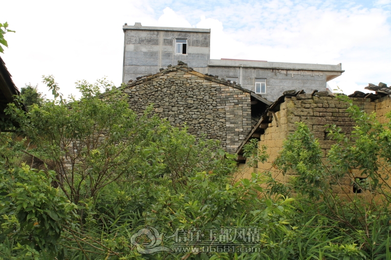 DPP_0008.JPG