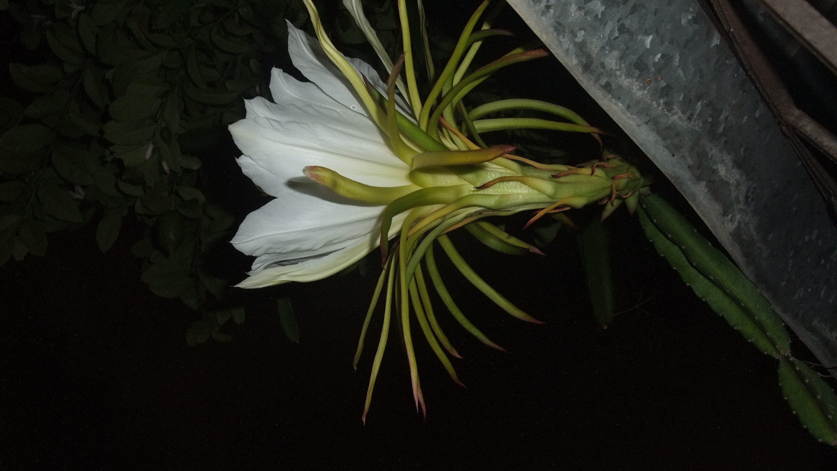 DSCF7988_����.jpg