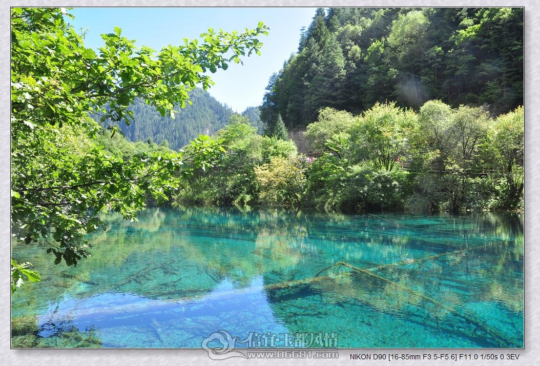 DSC_0082_nEO_IMG.jpg