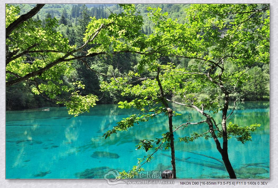 DSC_0083_nEO_IMG.jpg
