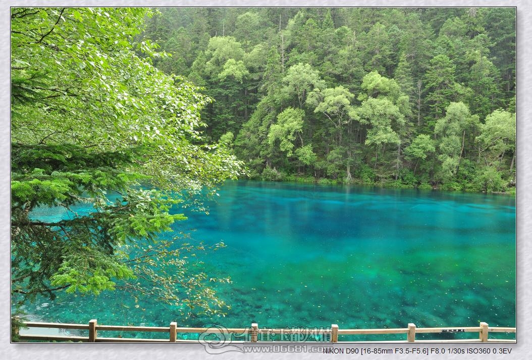 DSC_0159_nEO_IMG.jpg