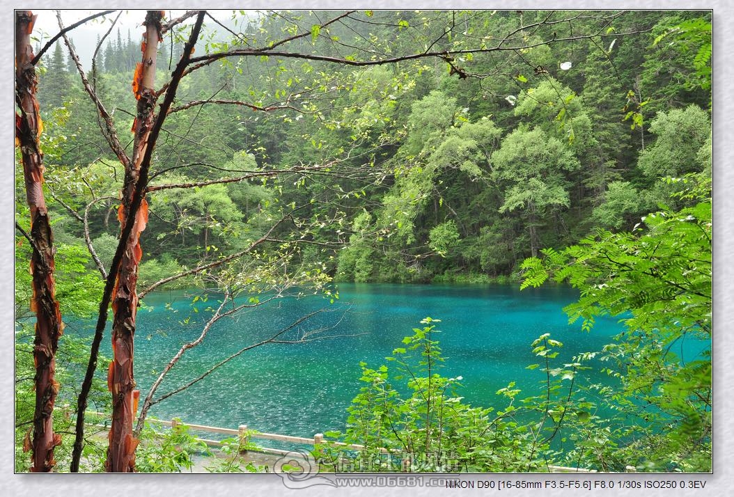 DSC_0164_nEO_IMG.jpg