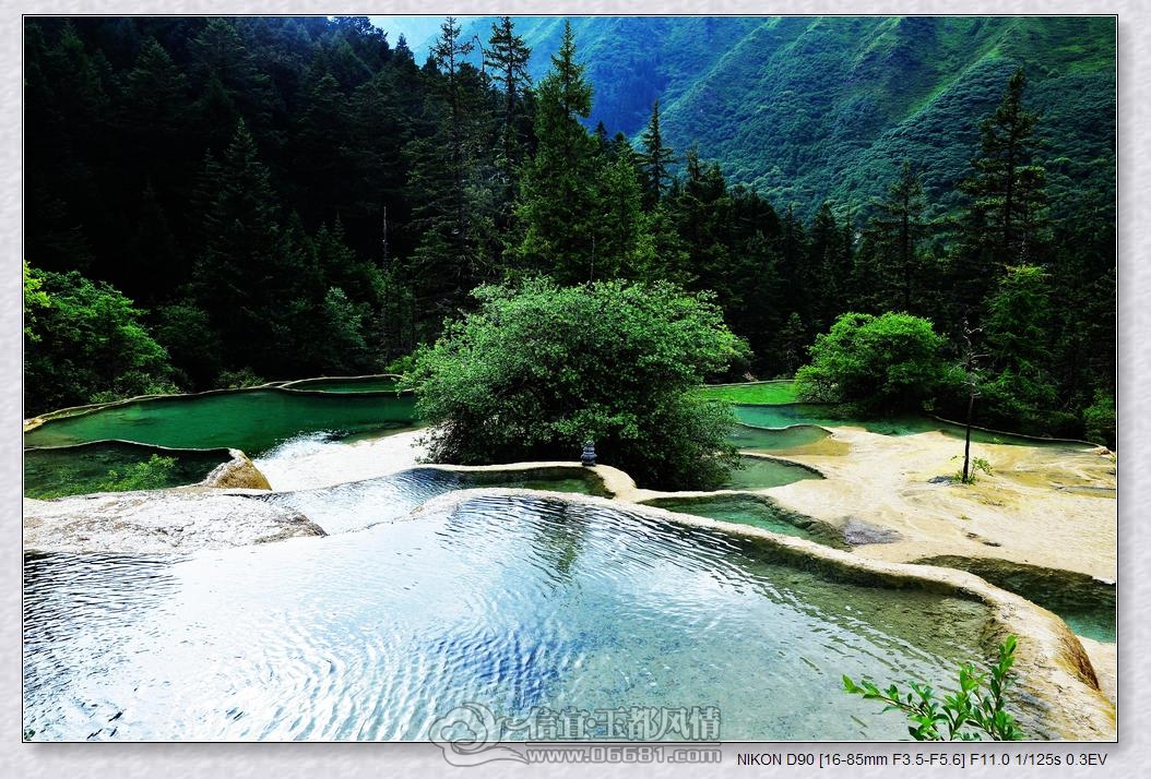 DSC_0335_nEO_IMG.jpg
