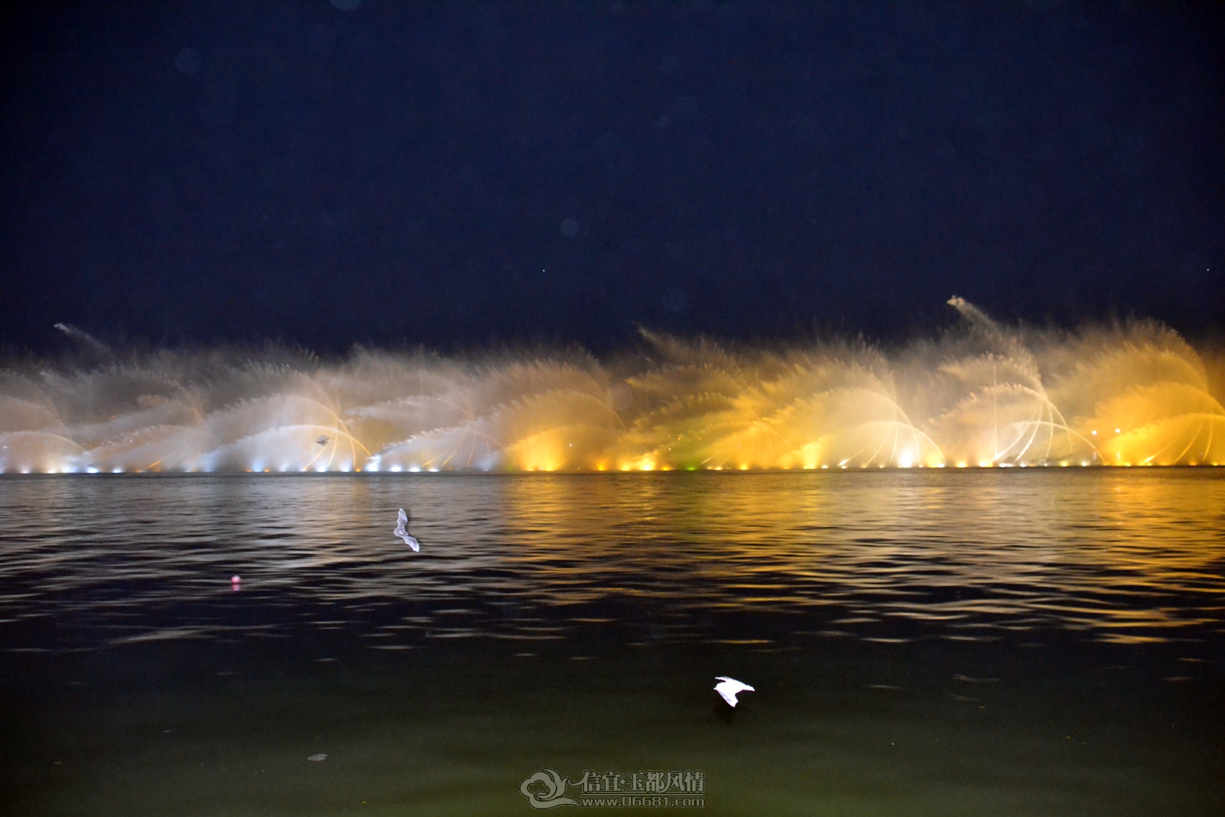 DSC_1594A.jpg