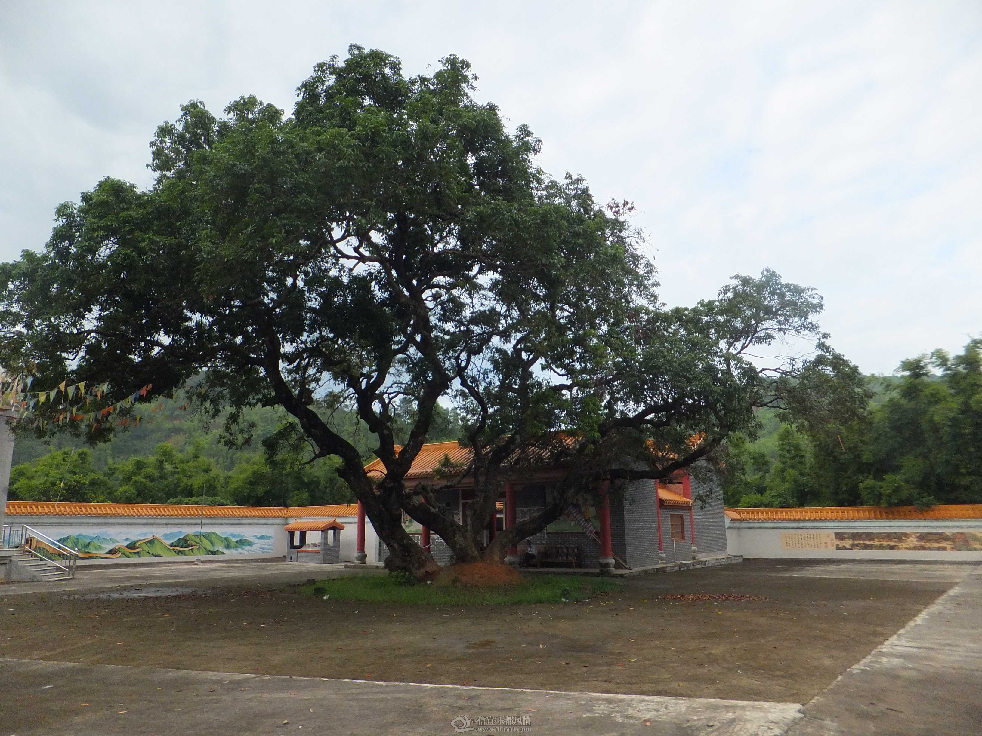 DSCF1271.jpg