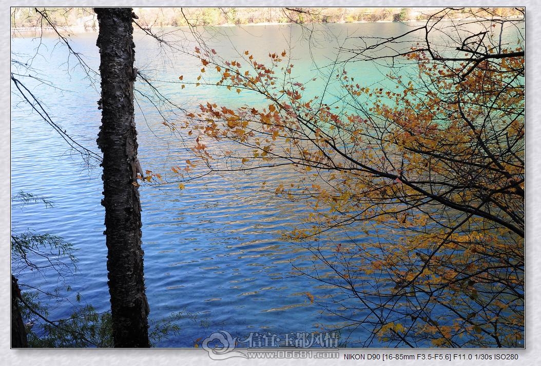 DSC_0855_nEO_IMG.jpg