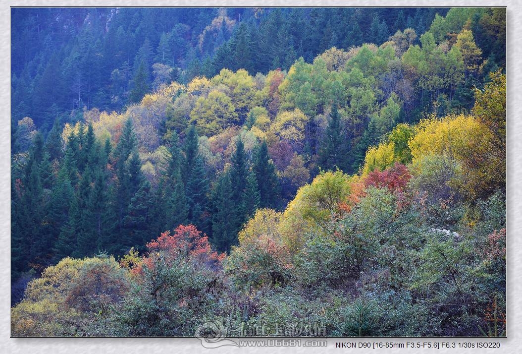 DSC_0897_nEO_IMG.jpg