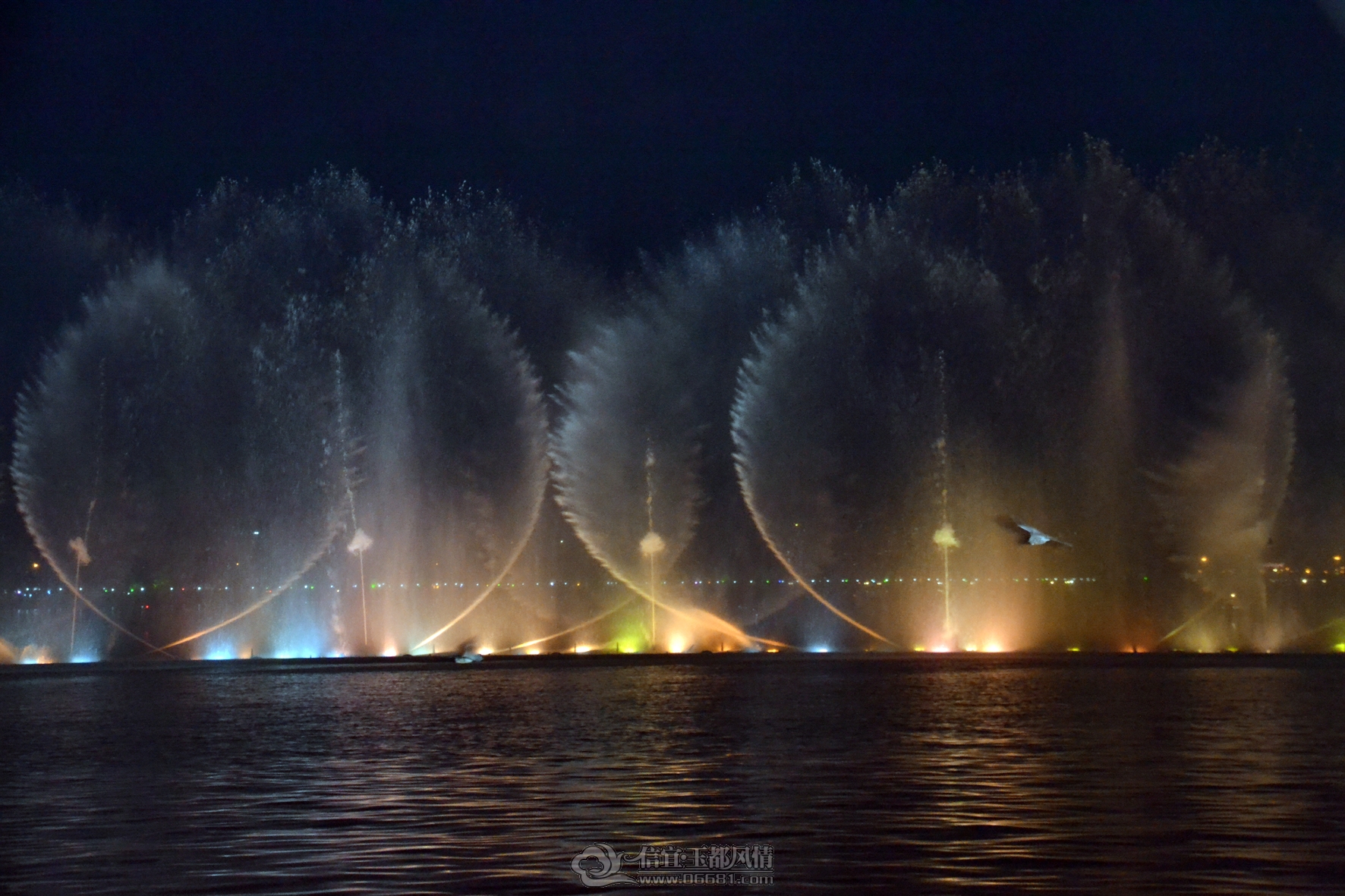 DSC_1597A.jpg