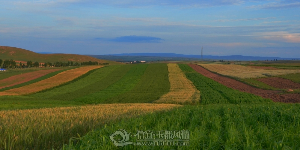 DSC_6005.jpg