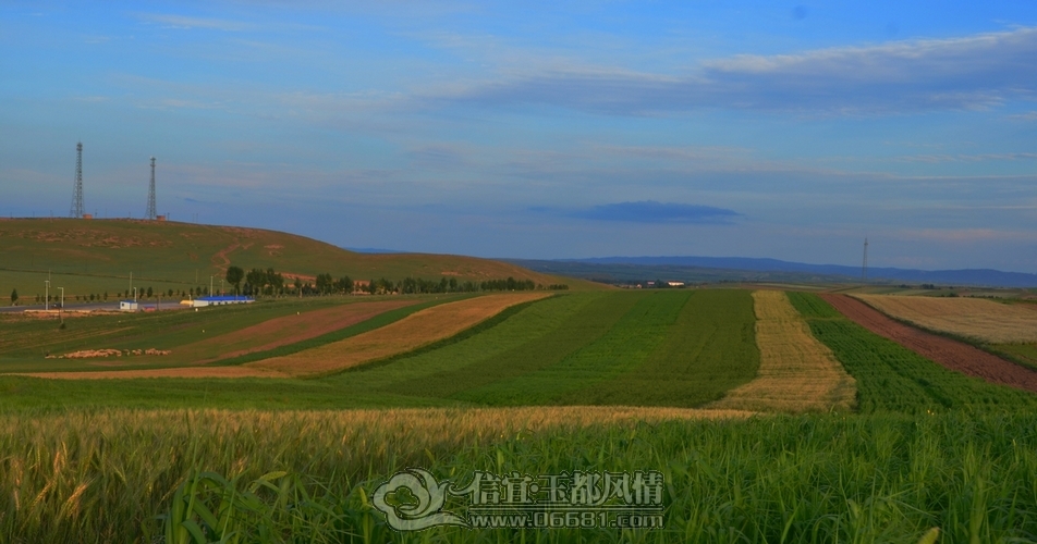 DSC_6006.jpg