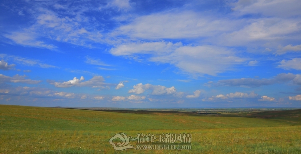 DSC_5761.jpg